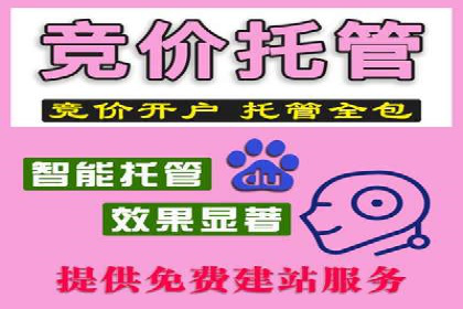SEM竞价广告的优化技巧：三个成功案例解析